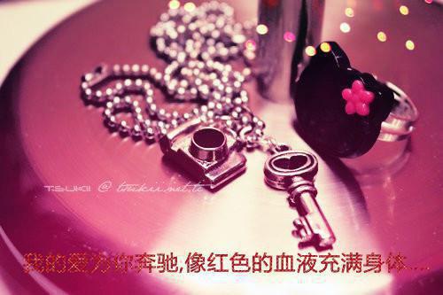 沈飞雪陆祁最新篇章 穿书女配成团宠了全本免费阅读