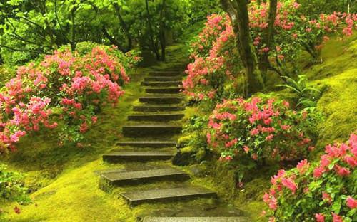 元旦现代诗歌11首