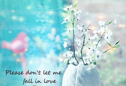 关满妹傅黎哪里可以看 关满妹傅黎免费阅读第一章