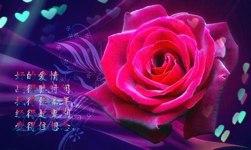 苏晚晚赵谨钦大结局免费阅读 苏晚晚赵谨钦全文小说