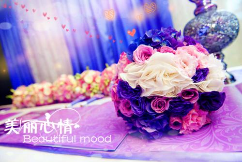 我被抹杀后,我的夫君欢天喜地了最新章节无弹窗 谢时景汤袅袅未删节小说在线阅读