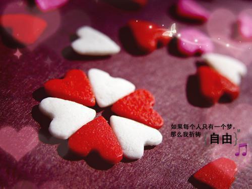 陆泽许欣怡是哪部小说的主角 陆泽许欣怡全文阅读