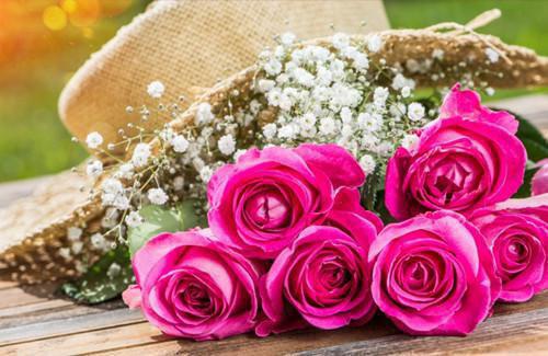 药学家丈夫为了白月光害死了女儿免费阅读白锦书段清野钟雪竹小说第5章