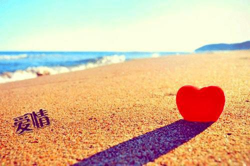 宋君竹林若音陈玲小说全本资源 恋爱脑觉醒后，高冷校草急疯了在线看