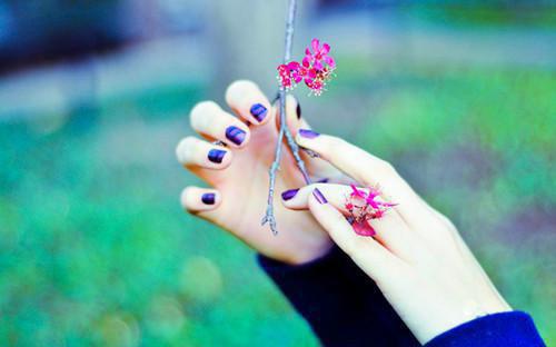 宁心姝裴承冷小说名字 宁心姝裴承冷全文免费阅读