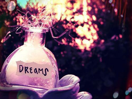 宋雯雯黎阳是什么书 宋雯雯黎阳免费章节在线阅读