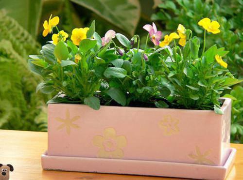 女主恶毒制暴计划无广告 小森在线免费阅读