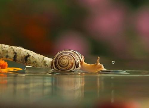 外室逼上门，我和婆婆联手杀疯了小说 白酉唐之曲在线阅读第3章