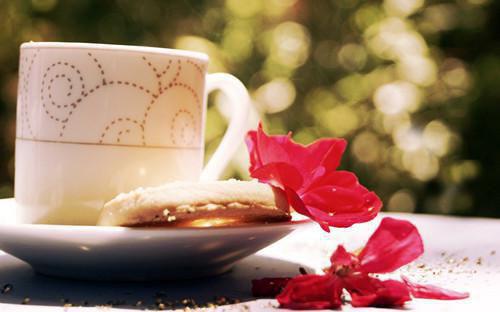 《晏时雨沈前川徐甜甜小说》无弹窗全文免费阅读