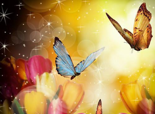 裴郁临姜苓然的小说（半生浮华已成梦）免费阅读_裴郁临姜苓然小说免费阅读（半生浮华已成梦）