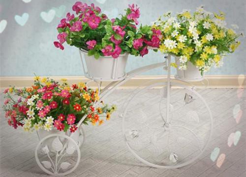 主角慕昭芸江圣诺小说 慕昭芸江圣诺小说全文免费阅读