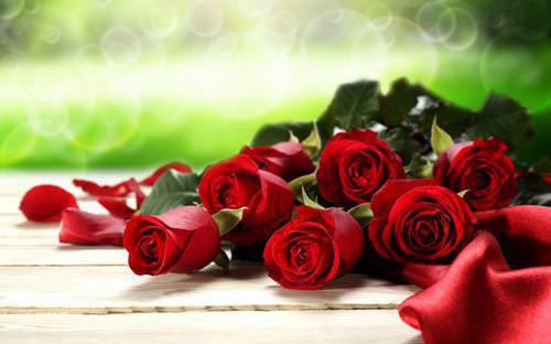 沈俊沈承齐辉全文免费 沈俊沈承齐辉在线阅读