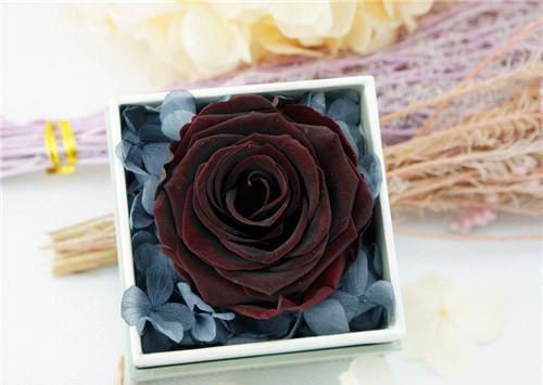 轩辕帝渊荒帝是啥小说 轩辕帝渊荒帝免费阅读无广告