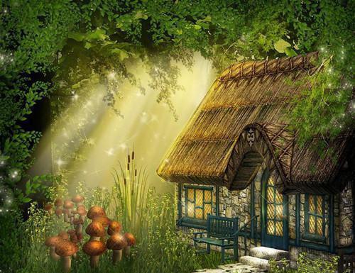 苏珂珂陆石胤小说叫什么 苏珂珂陆石胤小说全文免费阅读