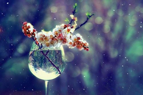 老公将我的腿骨泡进福尔马林溶液中全文免费阅读 苏辛缘沈林晖目录