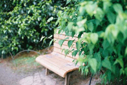 薄景庭宁言曦全本小说（薄景庭宁言曦）全文免费阅读无弹窗大结局_薄景庭宁言曦全本小说最新章节列表（薄景庭宁言曦）