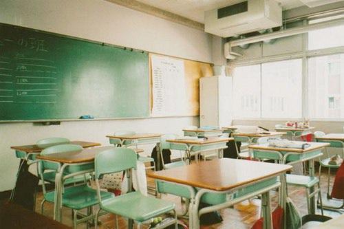 (抖音小说)虞晚晚沈墨迟小说全文阅读免费