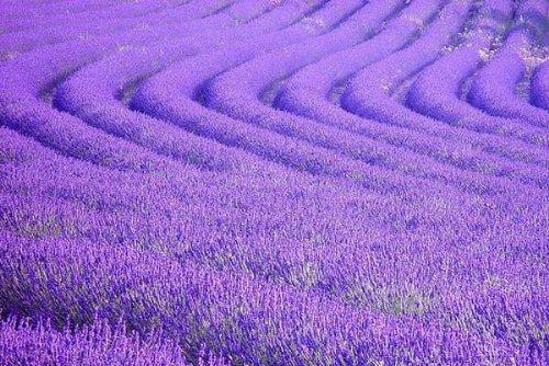 驸马不贪权(佚名)小说最新章节