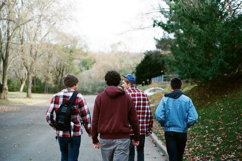 秦雨摇贺枫（秦雨摇贺枫）免费小说-（秦雨摇贺枫）完结版在线阅读