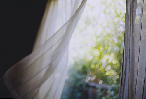 竹马是大明星在线阅读 虞听晚林屿霁小说