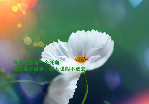 方萌陈露哪里可以看 方萌陈露免费阅读第四章