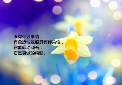 我就嚣张怎么了赛博坦战神 虞听晚虞霜霜小说