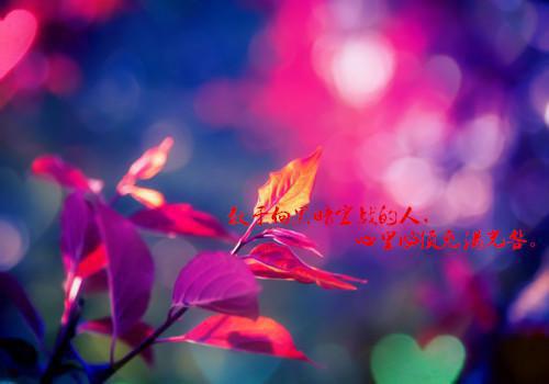 刘紫潇凌逸免费阅读第9章 刘紫潇凌逸大结局