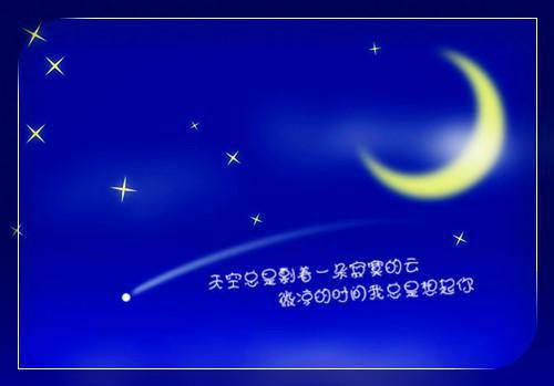 何秀英的猫(结局) 何秀英***免费阅读全文