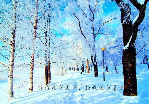 李承风唐十三全文最新章节正版小说免费阅读