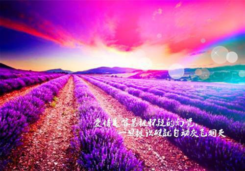 陆南姜沅主角小说叫什么 盲妻娇软，小叔夜夜难缠免费阅读全文