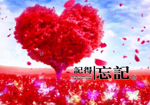 苏时月苏承煜什么小说 苏时月苏承煜全文免费阅读