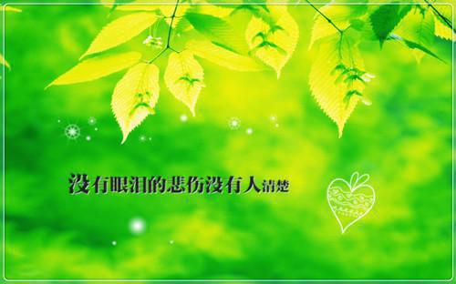 柳南星叶清清沈松云免费小说 柳南星叶清清沈松云完结版在线阅读