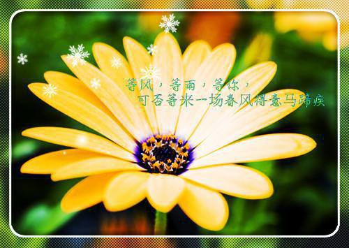 《江初月周晟砚小说》无弹窗全文免费阅读