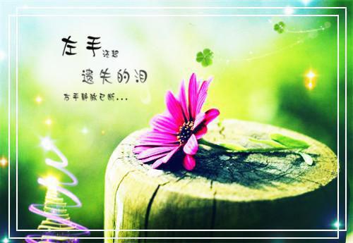 主角季语冰苏秀莲小说 季语冰苏秀莲小说全文免费阅读