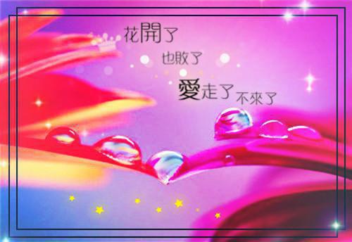 沐瑶菱心无弹窗 重生后，师姐抢了我的灵兽沐瑶菱心全文免费阅读