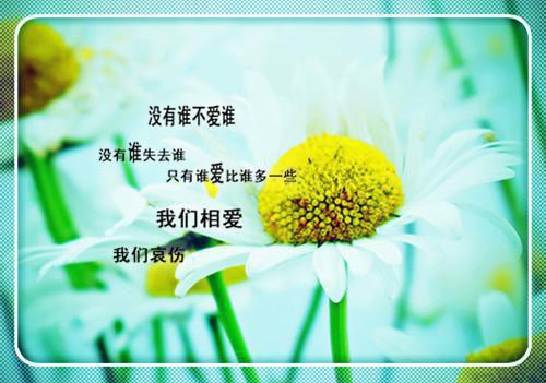 林清也云帆全文阅读最新 林清也云帆小说目录