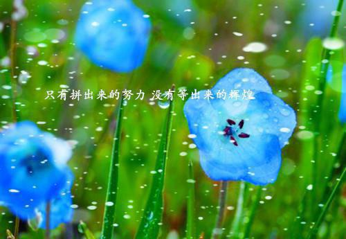 许清凝祁斯年全文免费 许清凝祁斯年在线阅读