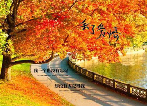 七国美男，皆为我裙下臣小风小阅小安无弹窗小说全集阅读