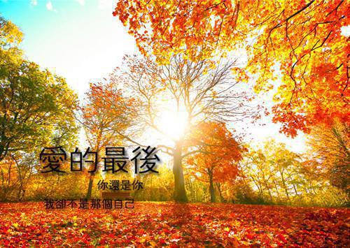 陈沐年周妍小说名字 为了给男友抢项目，我喝到胃出血章节试读