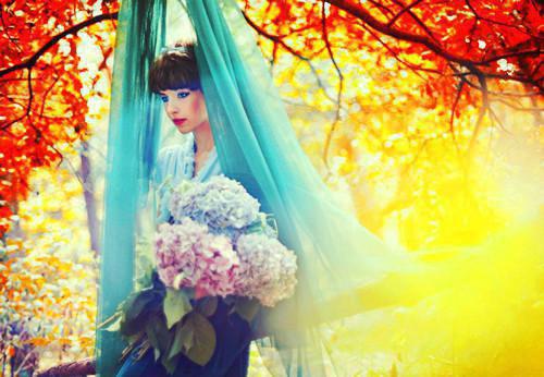 穿成修仙虐文女主她妈大结局免费阅读 沈逸寒慕柔小说章节目录