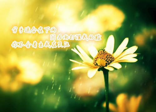 阮初陆珩之小说 阮初陆珩之完整版免费阅读