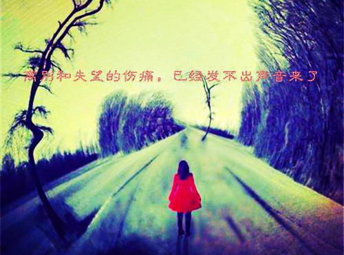 夜语凝时逾白免费小说 夜语凝时逾白完结版在线阅读