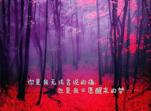 沈简承李言澈齐誉第4章 沈简承李言澈齐誉小说免费阅读