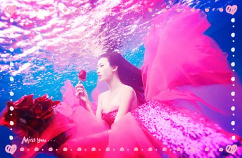 赵彩衣是什么小说的主人公 赵彩衣免费阅读