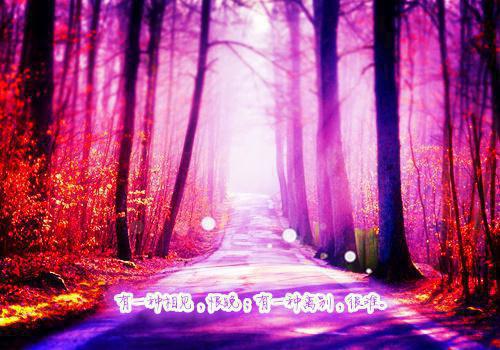 徐清研陆宴淮最新章节免费 徐清研陆宴淮第5章在线阅读