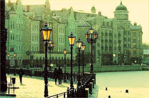 温阅音孟净柏小说最新章节 温阅音孟净柏免费阅读