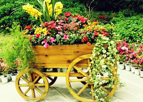 新婚老公的火超大免费阅读顾开霁程景小说第五章