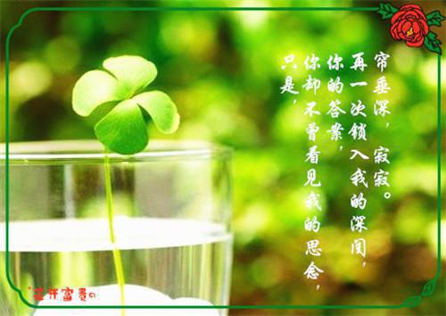 丁楚音龚安墨小说 丁楚音龚安墨免费章节阅读