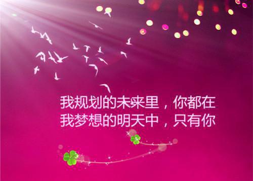 白潇潇林一辰赵忆蓝全文免费大结局 白潇潇林一辰赵忆蓝小说在线阅读