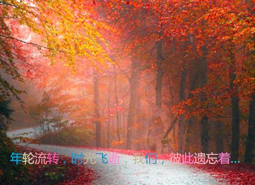 司念音容寻最后结局 司念音容寻完结版免费阅读